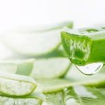 10+ cách dùng nha đam trị mụn Nhanh – Được ưa thích nhất!