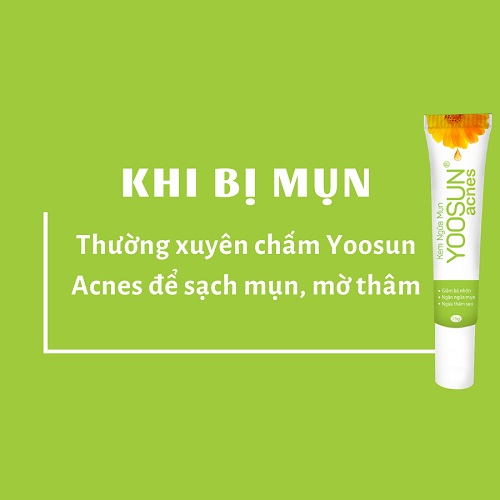 cách trị mụn trứng cá bằng sữa chua