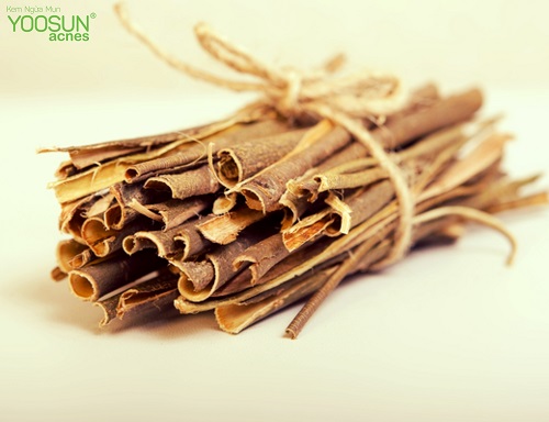 vỏ cây liễu