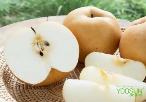 quả lê tiếng anh là gì