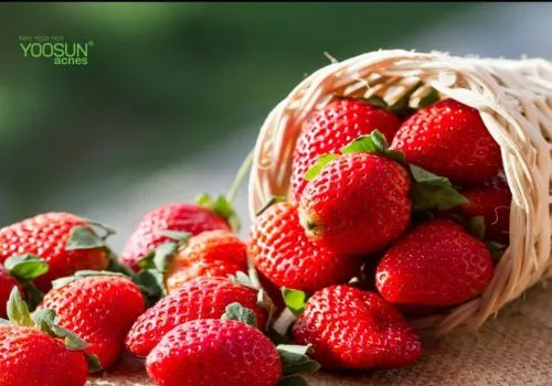 ăn dâu tây có nổi mụn không 